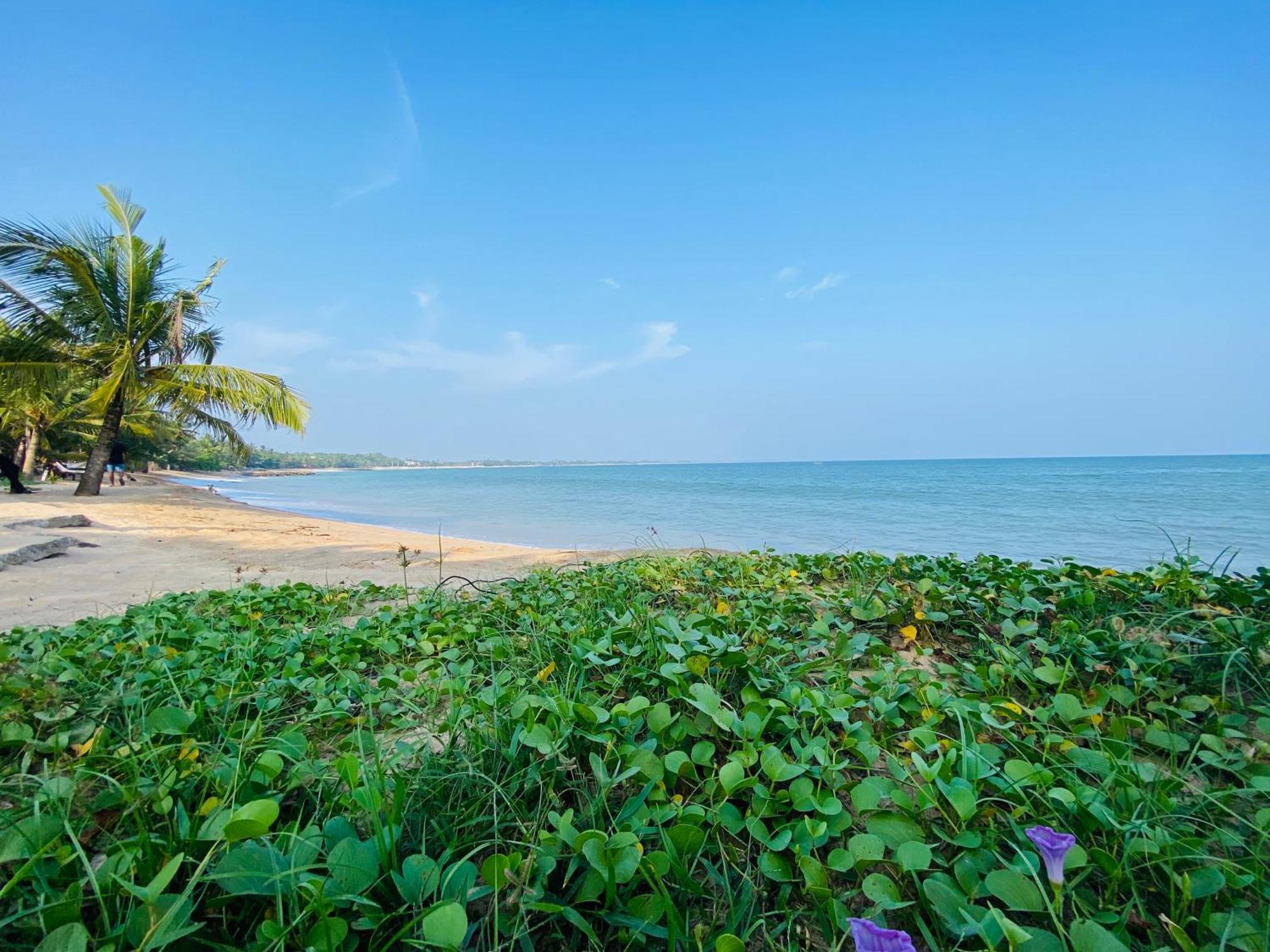 Thaprobana Villa Tangalle - Private Villa Екстериор снимка